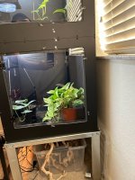 IMG_6184.jpeg
