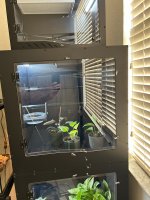 IMG_6183.jpeg