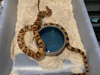 5B7C1194-23D7-4DF2-BA6A-4682A95669BD.jpg