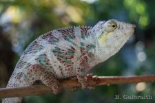 IMG_4554.jpg