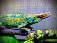 IMG_2172.jpg