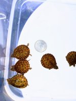 IMG_20230326_111537147~3.jpg