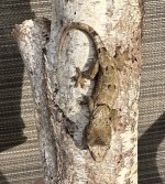 IMG_8445.jpg