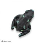 dendrobates_auratus_ancon_hill_captive_bred_-5.jpg
