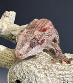 61 Big Red Gargoyle b.jpg