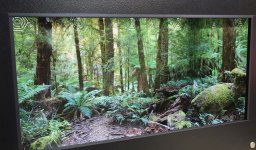 6-foot-reptile-cage-3-sided-australian-destination-background.jpg