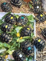 thumbnail_IMG_7398.jpg