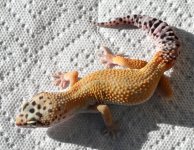 renu10m1-38.jpg