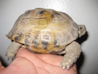 IMG_1666.jpg