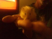 2011-01-03 20.22.20.jpg