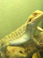 IMG_0231.jpg