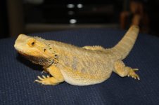 IMG_9472.jpg