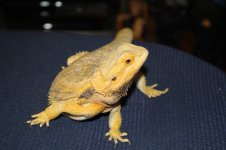 IMG_9469.jpg