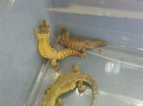 2011-01-15_12-22-11_775.jpg