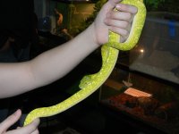 DSCN0077[1].jpg