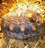 IMG_20221030_181142.jpg