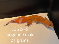 5CAF616E-80F8-412F-88D6-486E21AA7FC9.jpg