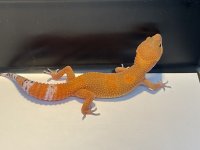 866885C6-C90A-4778-B0C5-82C2B0DD3DA9.jpg