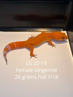 7F206F7D-DD76-48CC-AB9C-3DC7C3547AD9.jpg