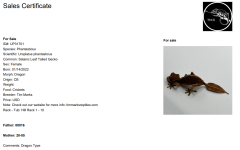 Smaug Sales Card.png