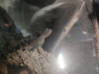 IMG_20220806_021848.jpg