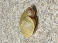 IMG_7822.jpg