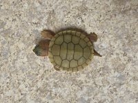 IMG_7833.jpg IMG_7833.jpg