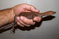 IMG_5873.jpg