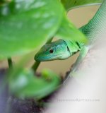 IMG_7850.jpg