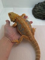 BB87C8B5-CCF3-4EB2-B2E5-54F6FEA9DF55.jpg