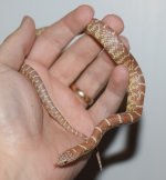 DSC_0011.jpg