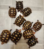 Groupshot2.jpg