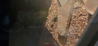 20210916_171731.jpg