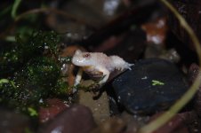 DSC_0271.jpg