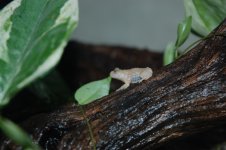 DSC_0259.jpg