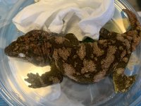 IMG_2958.jpg