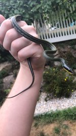 IMG_3108.jpeg