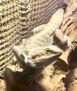 IMG_0442.jpg