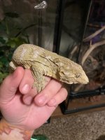 IMG_0182.jpg
