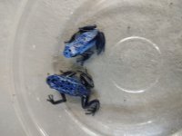IMG_20220911_173511497.jpg
