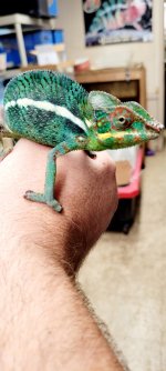 20220817_181118.jpg