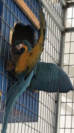 945B91F1-C0AC-4C88-A88E-6DAFB9343BBB.jpg