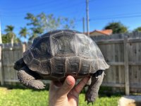 F4526A8F-7FED-41DF-99E0-DD1608841CCA.jpg