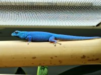 IMG_20220514_131950~2.jpg