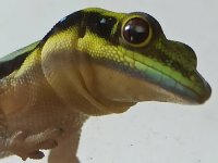 IMG_20221016_113941_491.jpg