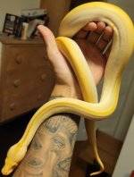 20220828_195513.jpg