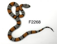 FC482D71-C22A-4A5A-9D3E-108FFE1C2B69.jpg