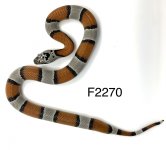 68A62E80-A34D-4CF1-8C89-FBF204849E17.jpg