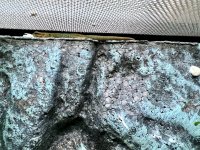 IMG_6107.jpg