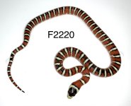 30CEAE93-14E3-43FC-A623-CA13482D6B9A.jpg